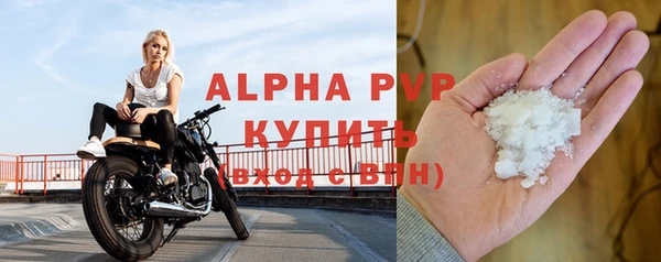 ПСИЛОЦИБИНОВЫЕ ГРИБЫ Переславль-Залесский