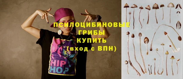 крисы Пересвет