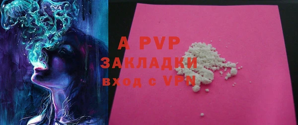 ПСИЛОЦИБИНОВЫЕ ГРИБЫ Переславль-Залесский