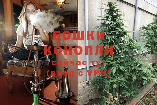 ПСИЛОЦИБИНОВЫЕ ГРИБЫ Переславль-Залесский