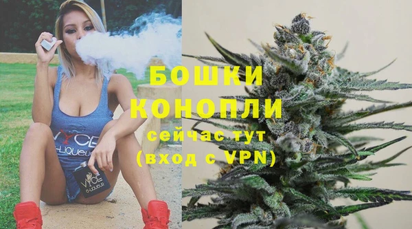 крисы Пересвет