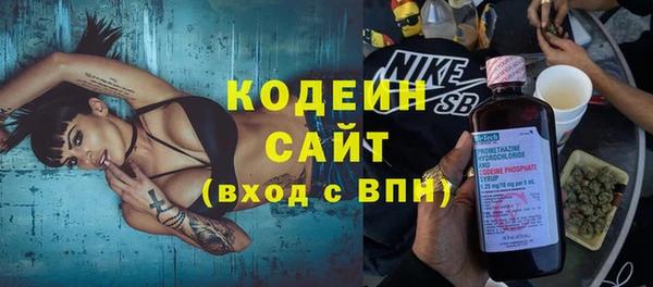 крисы Пересвет