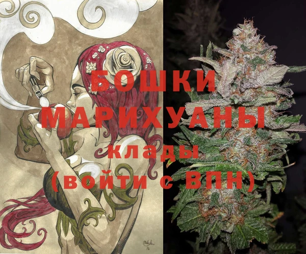 крисы Пересвет