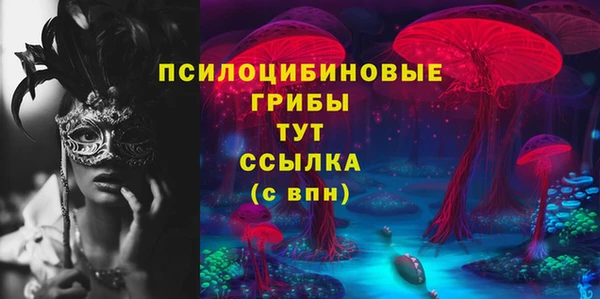 крисы Пересвет